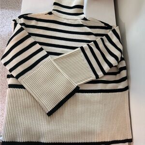 Toteme Turtleneck Sweater